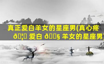 真正爱白羊女的星座男(真心疼 🦍 爱白 🐧 羊女的星座男)
